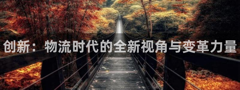 超凡国际游戏链接：创新：物流时代的全新视角与变革力量