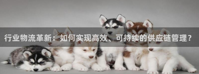 超凡国际昵称：行业物流革新：如何实现