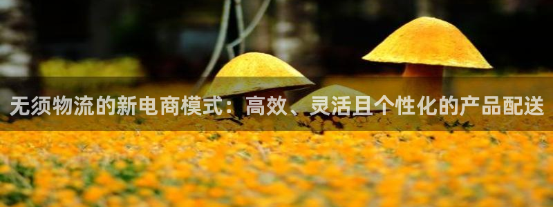 超凡国际PG电子游戏：无须物流的新电