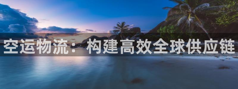 超凡国际代理落网：空运物流：构建高效