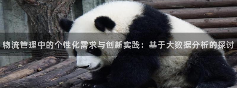 加拿大超凡国际数字规则：物流管理中的