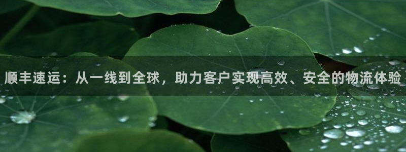 超凡国际官网多少：顺丰速运：从一线到