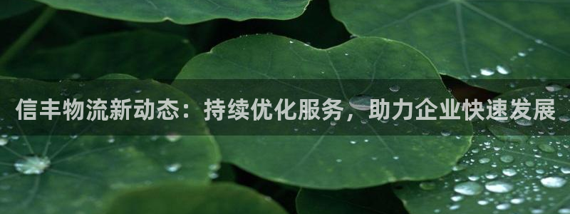 超凡国际百度百科：信丰物流新动态：持续优化服务，助力企业快速