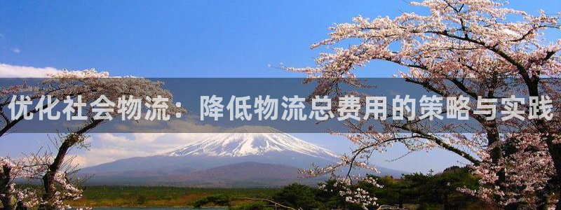 超凡国际注册链接教程：优化社会物流：降低物流总费用的策略与实