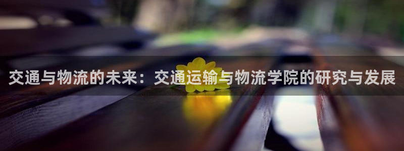 超凡国际充值不处理怎么办：交通与物流