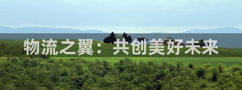 超凡国际p图上分下款通道：物流之翼：