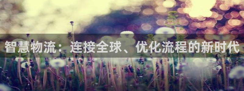 超凡国际软件：智慧物流：连接全球、优