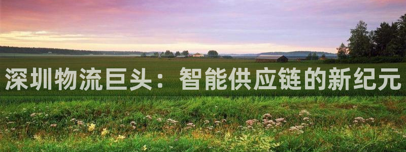 超凡国际下载二维码：深圳物流巨头：智