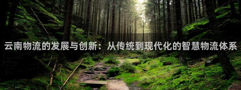 超凡国际能不能退：云南物流的发展与创
