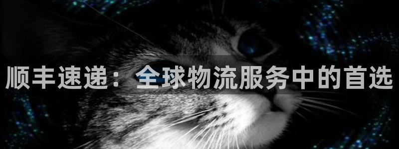 超凡国际加拿大技巧：顺丰速递：全球物流服务中的首选
