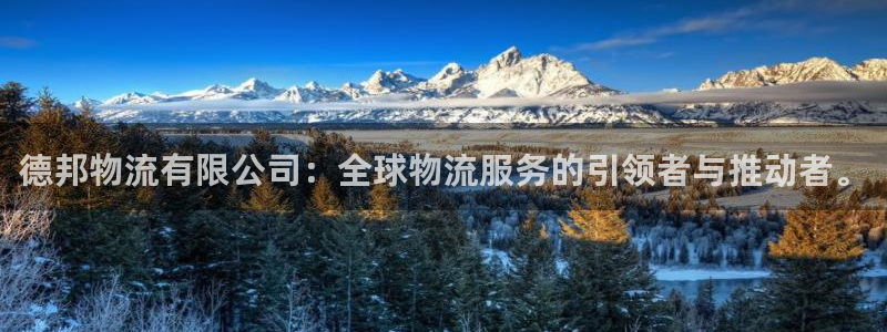 超凡国际官方网站是多少：德邦物流有限