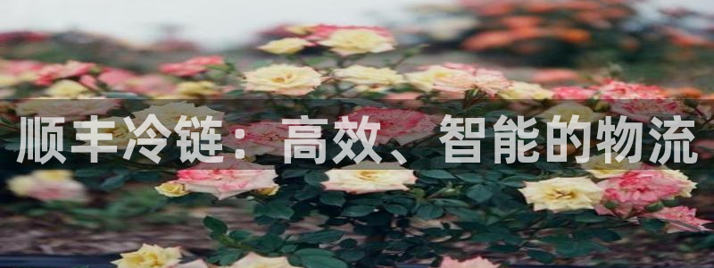 超凡国际APP是干什么的：顺丰冷链：高效、智能的物流