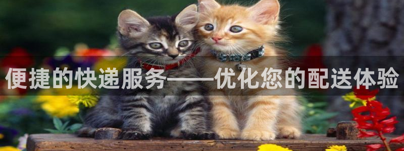 超凡国际加拿大官网：便捷的快递服务—