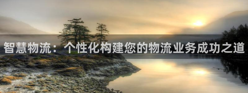 超凡国际注册上限是啥意思：智慧物流：