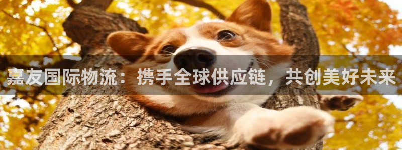 超凡国际官网入口官网：嘉友国际物流：