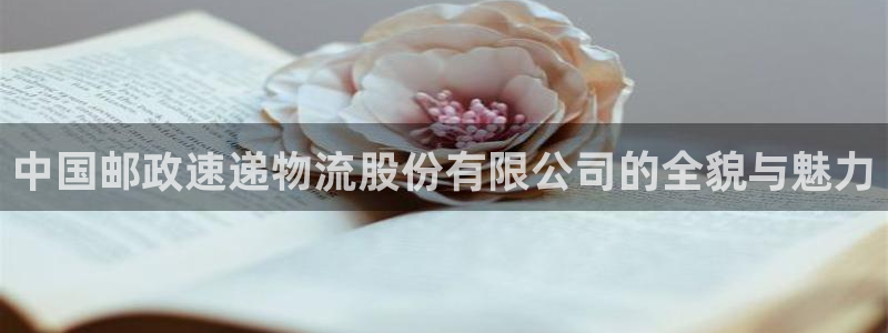 超凡国际下载二维码怎么弄：中国邮政速