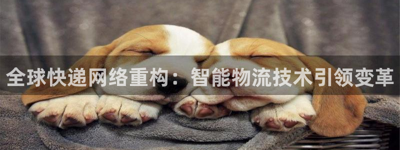 超凡国际注册：全球快递网络重构：智能