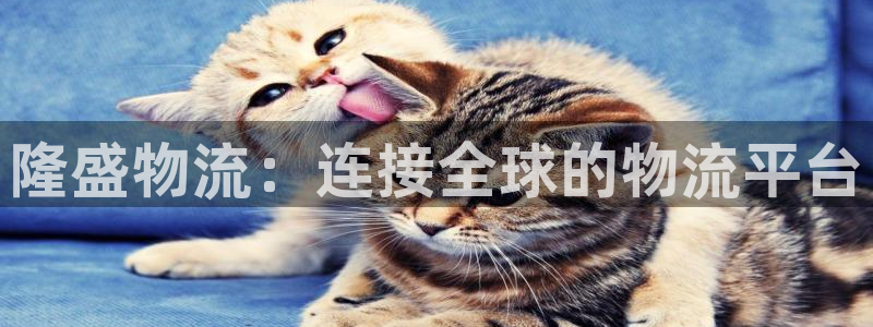 超凡国际女王中奖记录查询：隆盛物流：