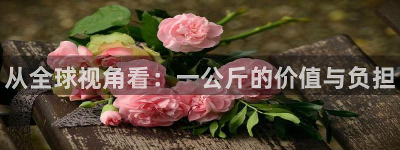 超凡国际官网下载：从全球视角看：一公