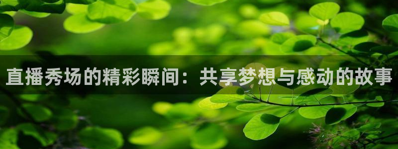 9255tv直播nba在线观看：直播秀场的精彩瞬间：共享梦想与感动的故事