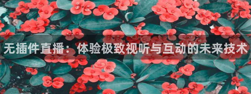 9255tv直播无插件nba：无插件直播：体验极致视听与互动的未来技术