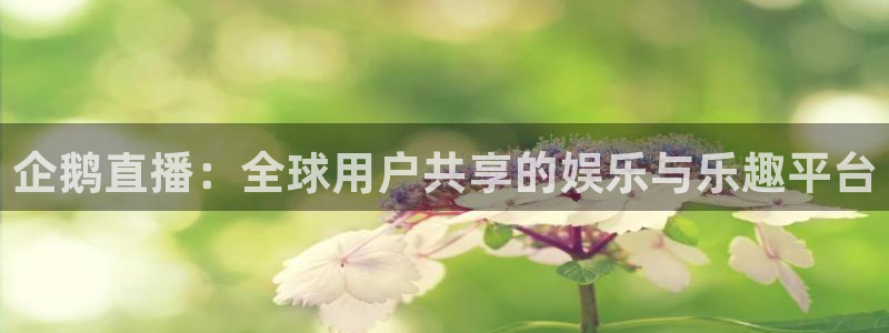 9255tv直播无插件nba：企鹅直播：全球用户共享的娱乐与乐趣平台