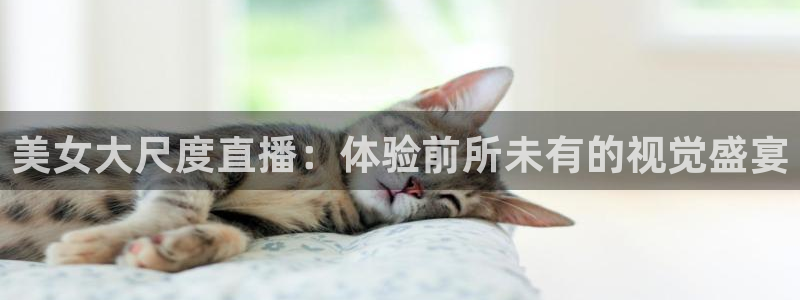 9255tv直播nba在线观看：美女大尺度直播：体验前所未有的视觉盛宴