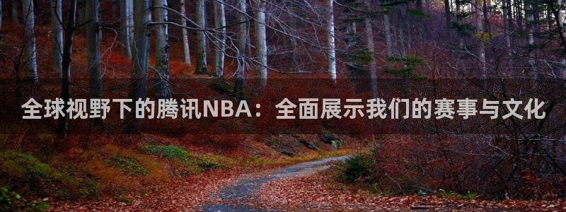 9255tv直播nba在线直播：全球视野下的腾讯NBA：全面展示我们的赛事与文化