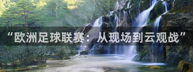 9255tv直播无插件nba：“欧洲足球联赛：从现场到云观战”