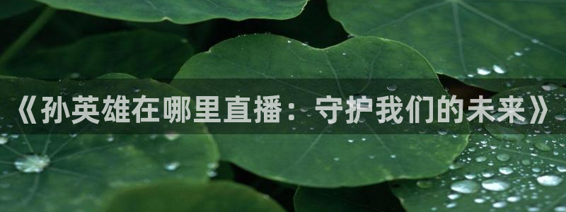 9255tv直播nba在线直播：《孙英雄在哪里直播：守护我们的未来》