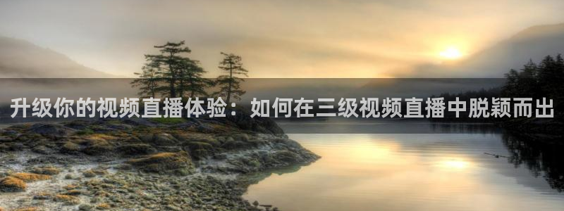 9255tv直播nba在线观看：升级你的视频直播体验：如何在三级视频直播中脱颖而出