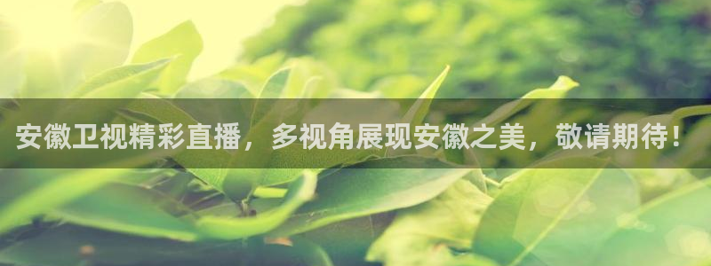 9255tv直播nba在线观看：安徽卫视精彩直播，多视角展现安徽之美，敬请期待！
